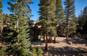 Příroda nedaleko hotelu