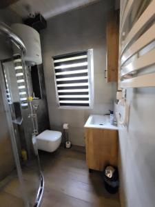 Domek nad jeziorem Wilczyńskim في Świętne: حمام مع حوض ومرحاض ونافذة +16 صورة