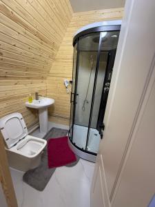 Alban في Saty: حمام مع دش ومرحاض ومغسلة