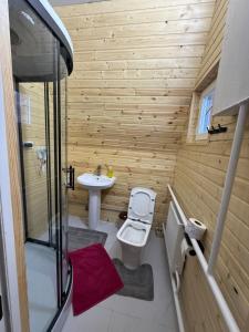 Alban في Saty: حمام مع مرحاض ومغسلة