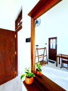 a room with two potted plants on a table at Mangrove Inn Mirissa in Kamburugamuwa