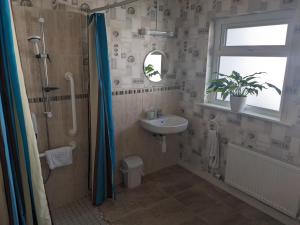 a bathroom with a sink and a shower and a toilet at Dunloe View in Killarney +35 photos