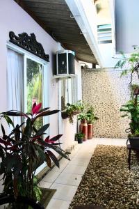 un cortile con piante e una finestra in un edificio di Cantinho Zen, Ponte do Imaruim -Palhoça-SC a Palhoça