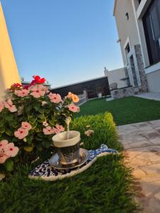 Zahrada ubytování استراحة الساحل الشرقي صور + 3 fotografie