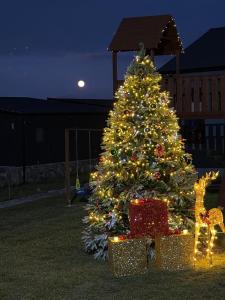 Shahdag Nature House في كوسار: شجرة عيد الميلاد مزينة بالأضواء وزرافة بجانبها