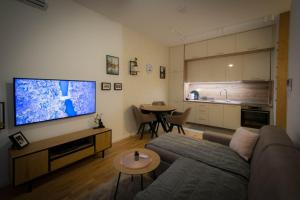 een woonkamer met een bank en een flatscreen-tv bij Pro-Link Podgorica in Podgorica