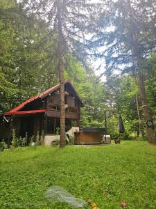 een blokhut midden in een veld met een tuin bij Misha's House in Porumbacu de Sus