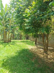 En have udenfor Camping crisemilhabela + 5 billeder