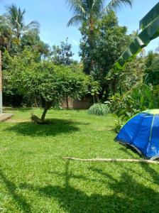 En have udenfor Camping crisemilhabela