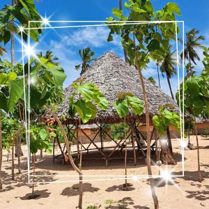AFLII Beach Resorts Msangamkuu في متوارا: كوخ مسقوف بالقش على شاطئ به أشجار نخيل