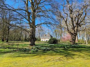 En have udenfor Charming villa in the heart of a historic estate