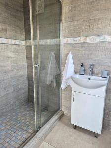 a bathroom with a sink and a shower at Holland Manor in Durban