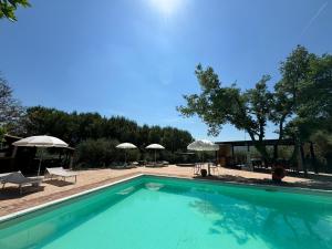 Πισίνα στο ή κοντά στο Locazione turistica ex Le Casette Di Cedromonte