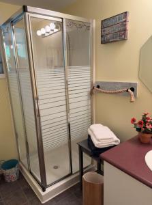 Gabriola Island B&B By The Sea في Gabriola: دش في حمام مع كونتر ومغسلة