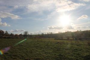 Un paisaje natural cerca de la casa de huéspedes 9 fotos más
