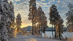 Φυσικό τοπίο κοντά σε αυτό το καταφύγιο