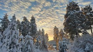 Το Fiskecamp Rusksele τον χειμώνα