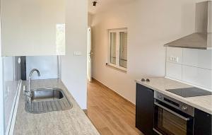 a kitchen with a sink and a counter top at Cozy Apartment In Dingac With Outdoor Swimming Pool in Gornji Dingač