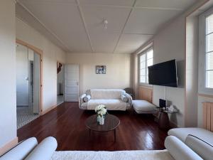 un soggiorno con un divano e una TV di Hildegarde's Friend a Brienne-le-Château