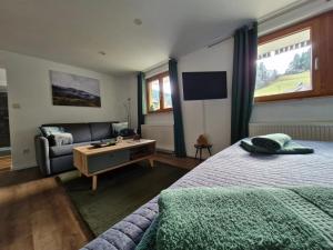 Μια τηλεόραση ή/και κέντρο ψυχαγωγίας στο Ferienwohnung Vordere Halde