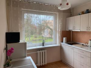 eine Küche mit Fenster und weißem Kühlschrank in der Unterkunft Amber apartamentai in Druskininkai