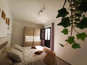 a bedroom with a bed and a plant on the wall at First Love in Caleta De Fuste