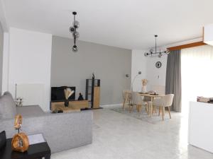 TV a/nebo společenská místnost v ubytování GF AXD Apartment