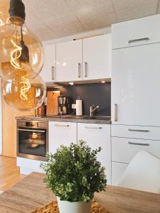 Kuchyň nebo kuchyňský kout v ubytování Chalet an der Bode - 2 Zi Fewo zentral am Marktplatz