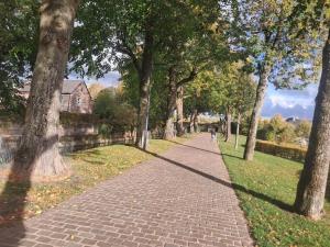 Fotografie z fotogalerie ubytování Domus moerenpoort v destinaci Tongeren