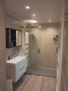 Un baño con ducha y lavabo blanco. en Domus moerenpoort, en Tongeren