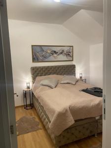 a bedroom with a large bed in a room at Apartmani Anonim in Vrdnik