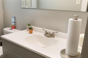 a bathroom sink with a roll of toilet paper on it at Cozy Vintage Ranch in Fayetteville