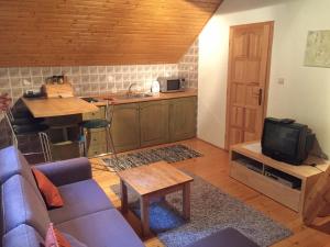 Kuchyň nebo kuchyňský kout v ubytování Apartments Huty