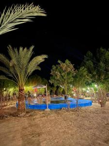 Bazén v ubytování Santarya Siwa hotel nebo v jeho okolí + 19 fotografií