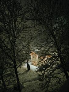 una casa ricoperta di neve con alberi in primo piano di Al Foér Guesthouse ad Averara