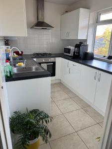 Η κουζίνα ή μικρή κουζίνα στο Bright & Cozy 1-Bedroom Flat in a Quiet Sutton