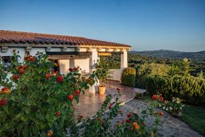 a house with a garden with flowers in front of it at Dolce Luna in Arzachena
