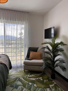 Imagine din galeria proprietății Secure Retreat Near SJO and 27, Ideal for Families în Nuestro Amo +40 fotografii