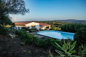 a villa with a swimming pool on a hill at Dolce Luna in Arzachena