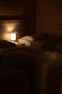 a bedroom with two beds with a lamp on it at Wooden Villa Sormoni in Tskaltubo