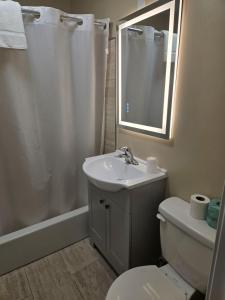 a bathroom with a sink and a toilet and a mirror at Ashford Motel in Ashford