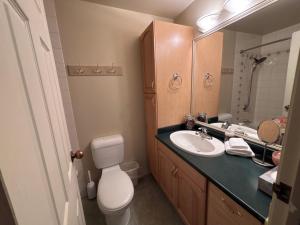 Horsethief Lodge by StayIn في بانوراما: حمام مزود بمرحاض ومغسلة ومرآة +25 صورة