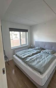 a bedroom with a large bed with a window at Odense Habor with access to the harbor sauna and pool in Odense
