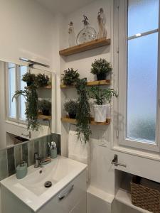 a bathroom with a sink and plants on the wall at Charmant studio - Vanves in Vanves