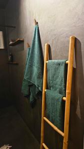基律纳Riverfront Aurora Chalet的墙上挂着一个毛巾架，上面挂着绿色的毛巾。