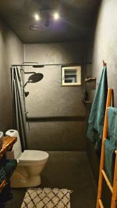 基律纳Riverfront Aurora Chalet的带淋浴和卫生间的浴室