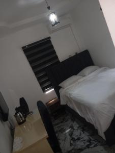 Billede fra billedgalleriet på Luxury 3 Bedroom Duplex at Thinkers Corner i Enugu