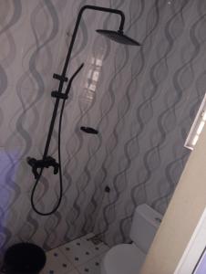 a shower in a bathroom with a toilet at Luxury 3 Bedroom Duplex at Thinkers Corner in Enugu +11 photos