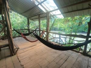 Balkón nebo terasa v ubytování Sacha Wasi - Jungle Medicine Community + 24 fotografií