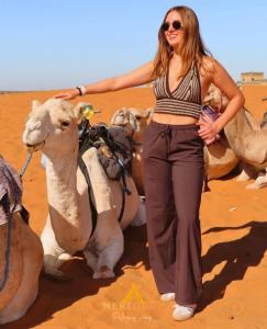 Dyr på campingpladsen eller i nærheden